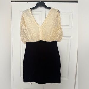 Elegant Lace V-Neck Dress